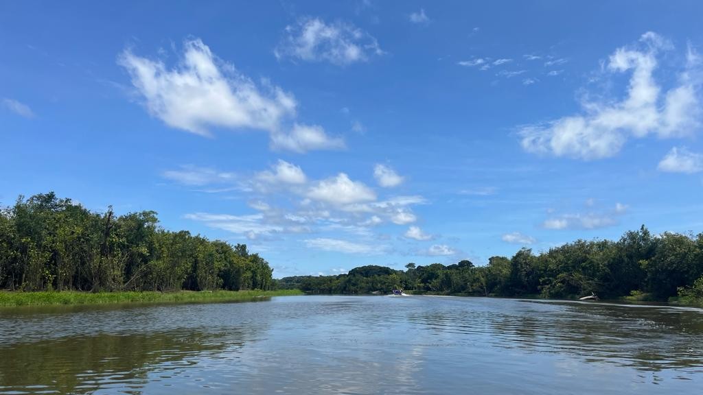 Conhe A Projeto De Turismo Comunit Rio Em Reserva Que Abriga Centenas